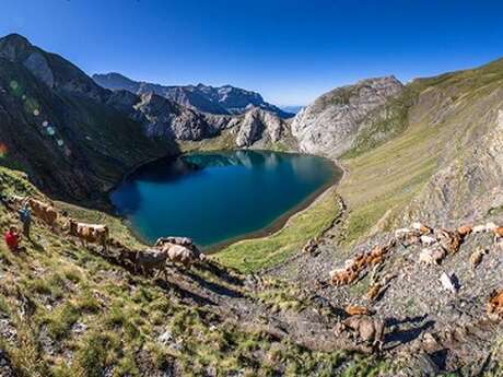 TRANSHUMANCE DE LA BERNATOIRE