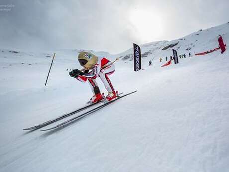 TOTEM DE LA STATION DE SKI