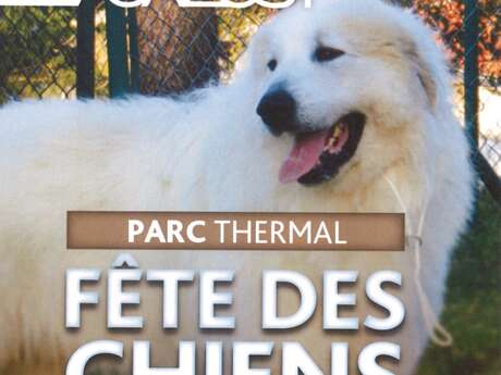 Fête des Chiens des Pyrénées