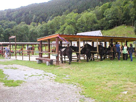 FERME EQUESTRE DU MOULIAN FERME EQUESTRE DU MOULIAN