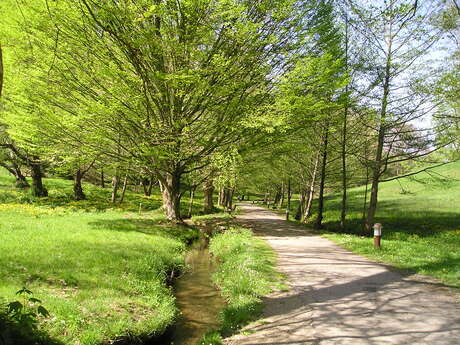 Balade naturaliste au Vallon de Salut