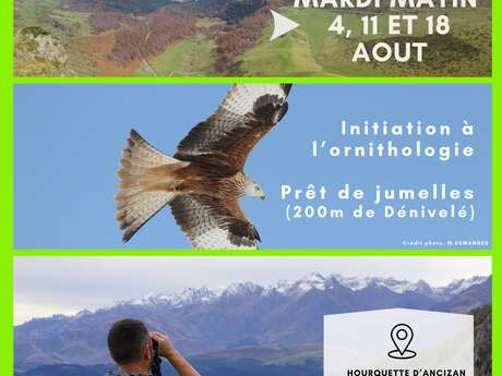 A la découverte des grands rapaces