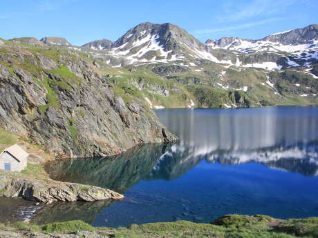 Biodiversité montagnarde : endémisme pyrénéen et compagnie