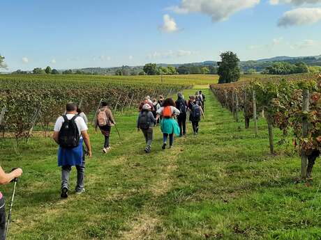 Journée détente - Randonnées
