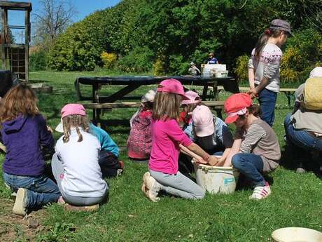 Ecole Buissonnière des familles :  les petites bêtes de l'eau