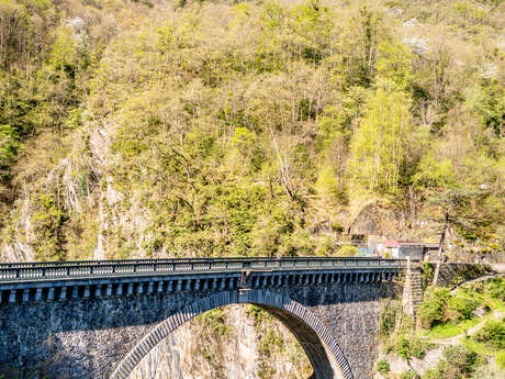 PONT NAPOLEON