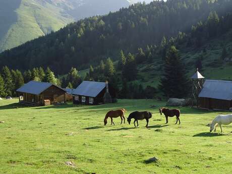Sites incontournables : Le Camp Rollot