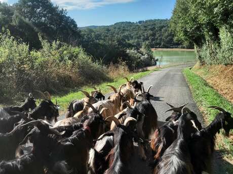 FERME MANESTIN