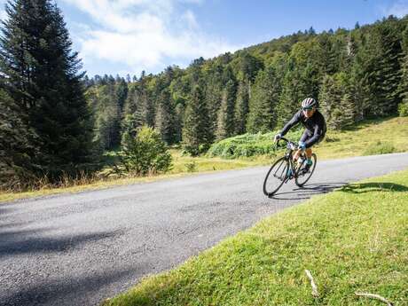 COL DE SPANDELLES