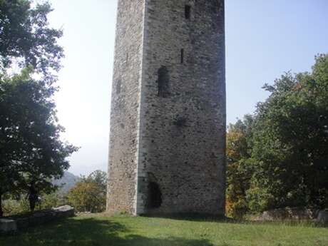 TOUR DE VIDALOS