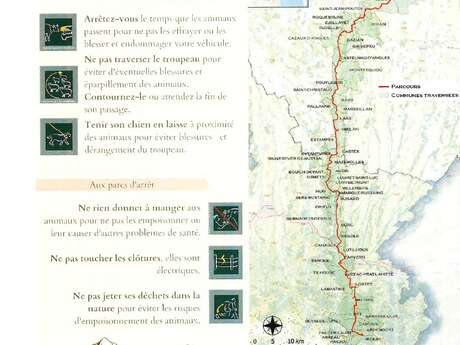 Transhumance