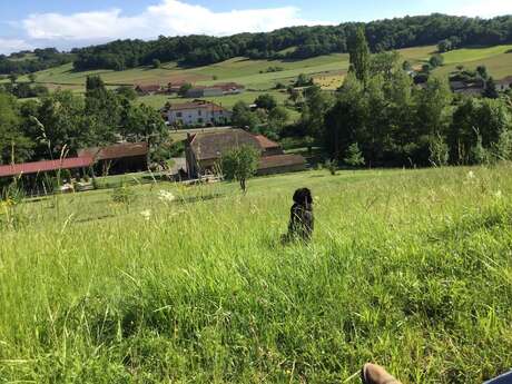 GÎTE OSMETS