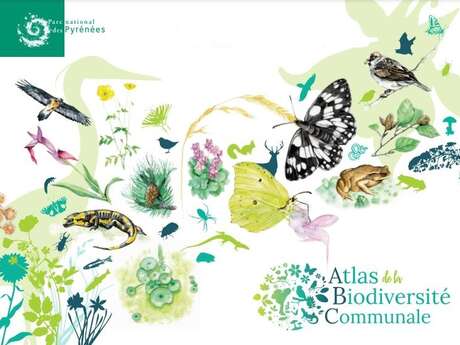 24H DE LA BIODIVERSITE