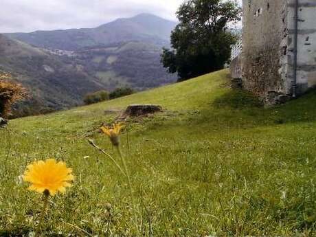 LA NATURE