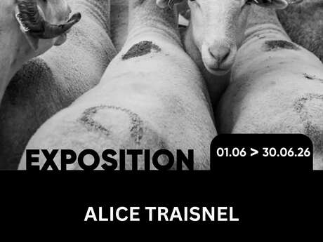 Exposition d'Alice Traisnel