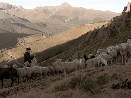 Exposition photographique "Pyrénéisme"