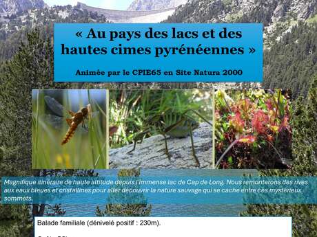 Sortie Nature avec CPIE 65 en Site Natura 2000 - Au pays des Lacs et Hautes cimes pyrénéennes Cap de Long