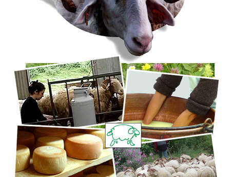 FERME AUBRUCHOU