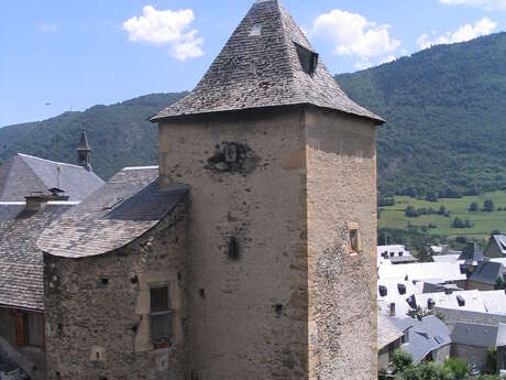 Visite guidée d'Ancizan