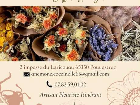 ANEMONE & COCCINELLE