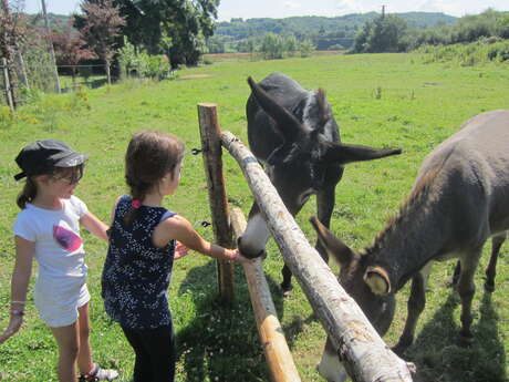 FERME PÉDAGOGIQUE DE L'AOUEILLE