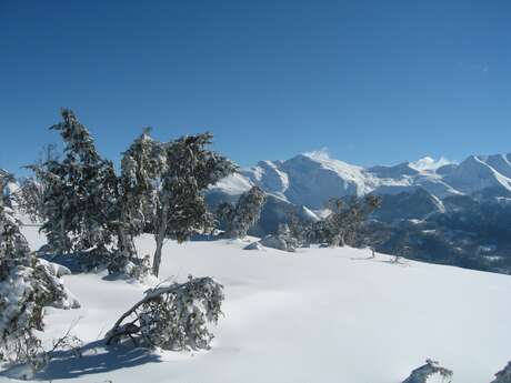 BUREAU MONTAGNE DES VALLEES DE GAVARNIE