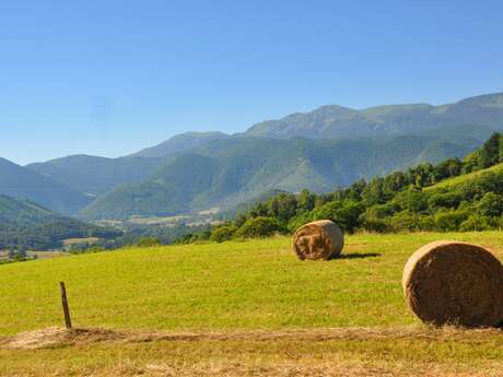 LE P'TIT TOUR DES BARONNIES