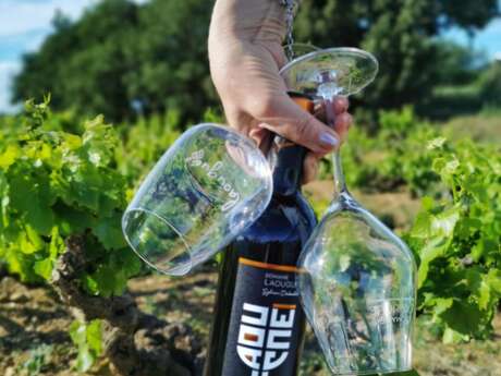 Pique-nique chez le vigneron indépendant