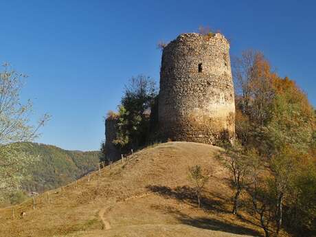 CHÂTEAU DE BEAUCENS