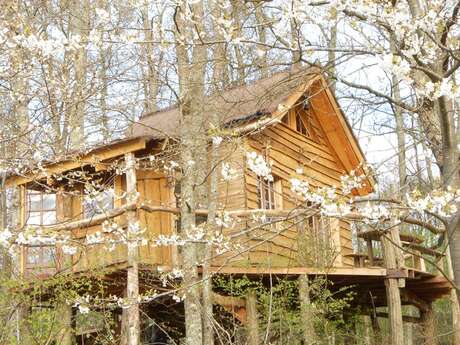 LA CABANE DES CERFS
