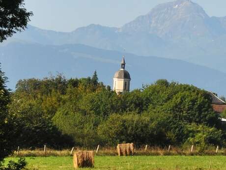 SUR LES PAS DES BARONS