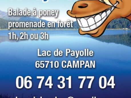 CHEVAUX DE PAYOLLE