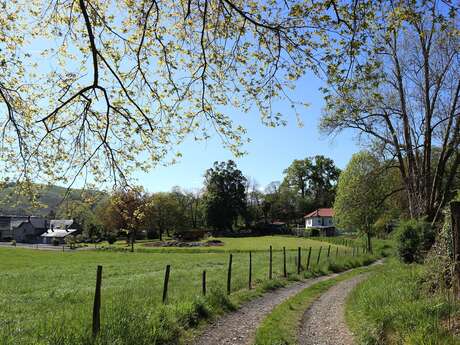 LE CHEMIN VERT