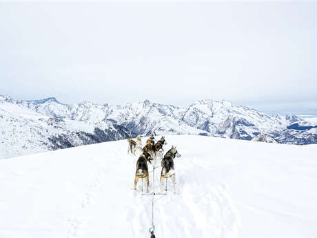 HUSKIES ESCAPADES - CHIENS DE TRAINEAUX ET CANI RANDO