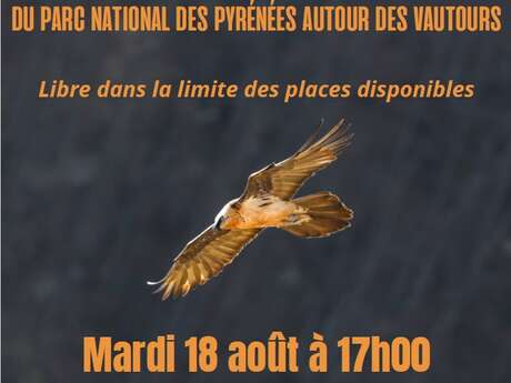 CONFERENCE AUTOUR DES VAUTOURS