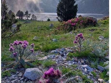 CONFERENCE SUR LES CONSEQUENCES DU CHANGEMENT CLIMATIQUE SUR LA RESERVE NATURELLE DU NEOUVIELLE