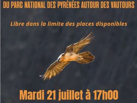 CONFERENCE AUTOUR DES VAUTOURS