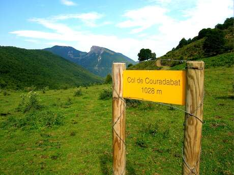 Balade découverte dans les Baronnies