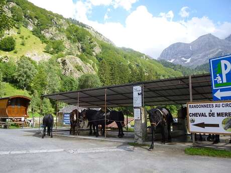 CHEVAL GAVARNIE - CLUB EQUESTRE DU VIGNEMALE