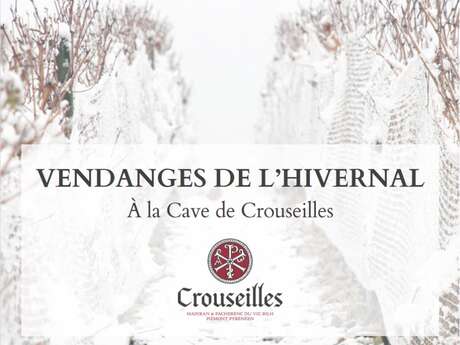 Vendanges de l'Hivernal