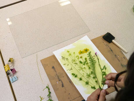 Atelier cyanotype