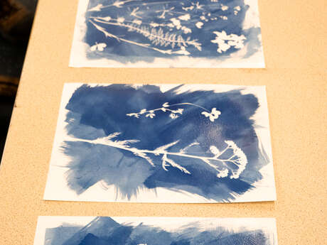 Atelier cyanotype