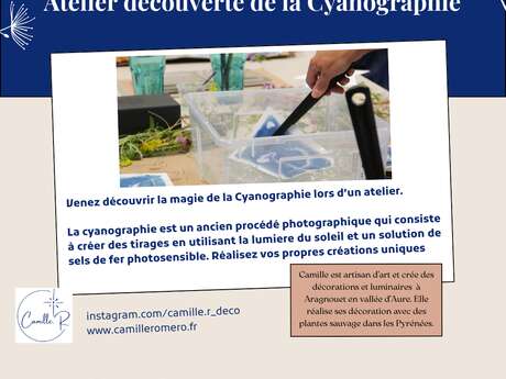 Atelier Cyanographie - Association ArtLab Eclore