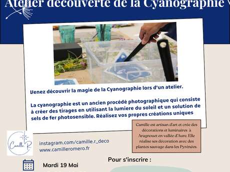 Atelier Cyanographie - Association ArtLab Eclore