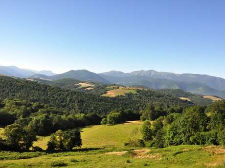 PLONGÉE DANS LES BARONNIES