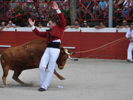 Course landaise