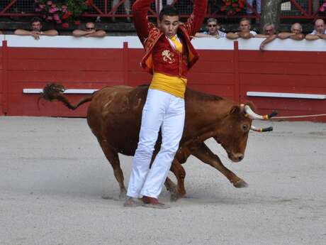 Course landaise