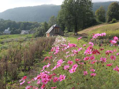 ORS NA BRUMA - FERME DISTILLERIE