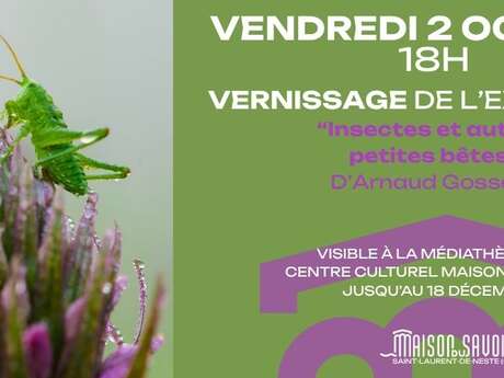 Vernissage "Insectes et autres petites bêtes"