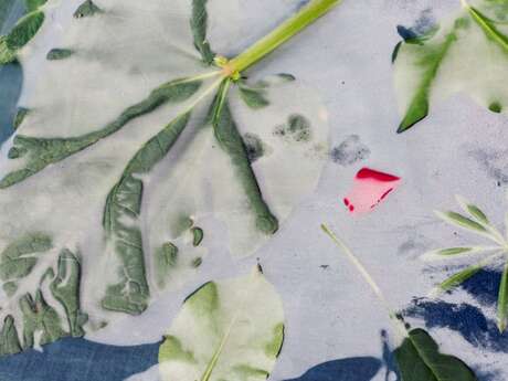 Atelier jeune : Qui se cache sous l'eau ?